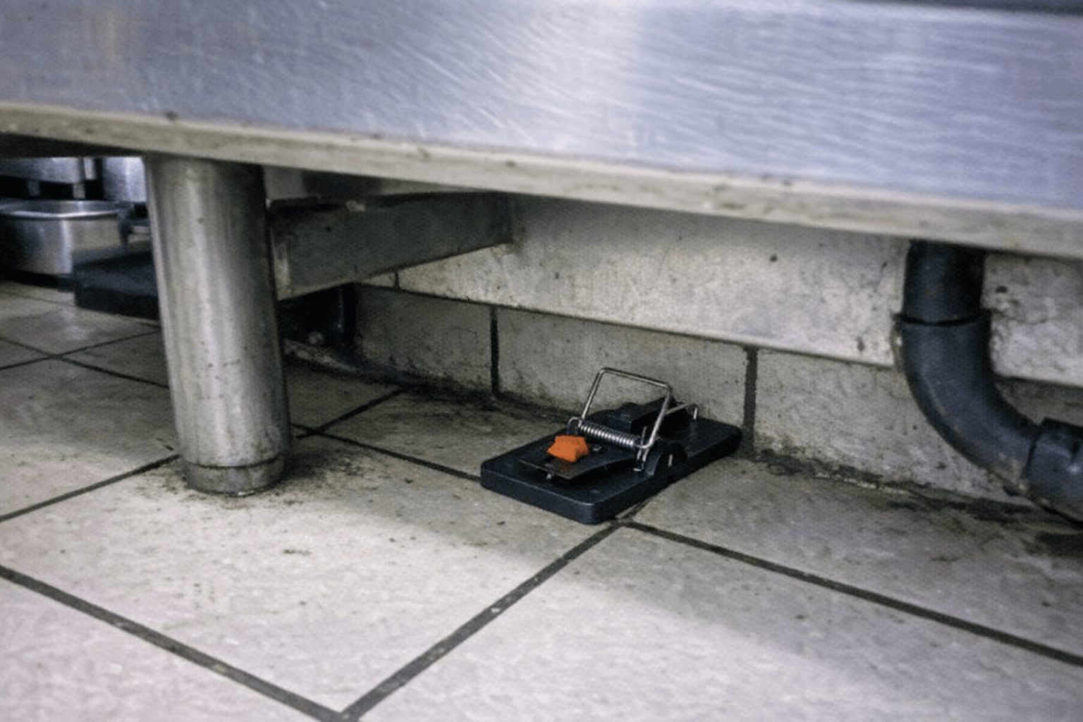 Diskrete Stationen hinter Regalen in einem gewerblichen Lagerraum